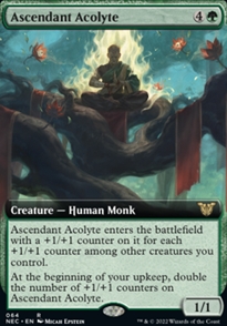 Ascendant Acolyte